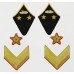 Петлицы командный состава, АБТВ и Артиллерия, Генерал-майор, обр. 1940 г.